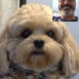 Meet your Posher, David